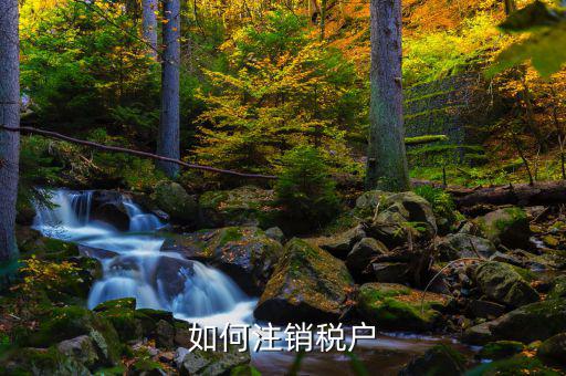 如何注銷(xiāo)稅戶