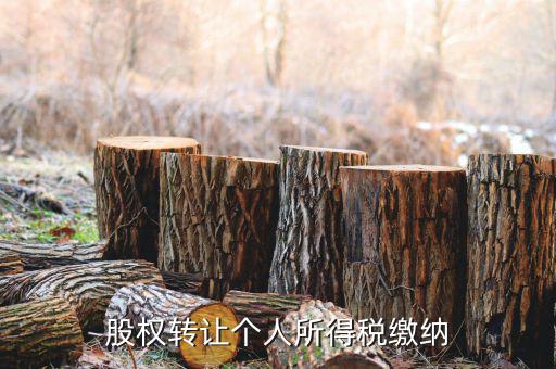 股權(quán)轉(zhuǎn)讓如何繳納個(gè)稅，個(gè)人股權(quán)轉(zhuǎn)讓如何納稅
