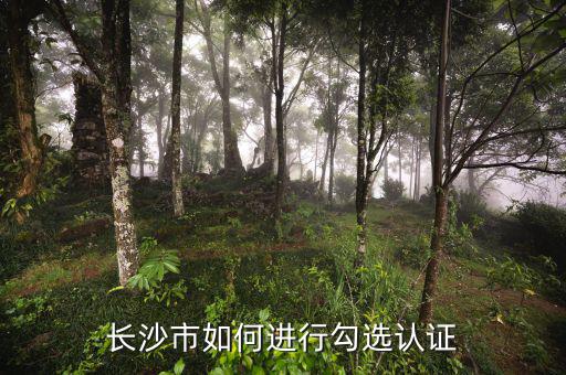 如何進行網(wǎng)上勾選，對方開出增值稅專用發(fā)票多長時間可以進行網(wǎng)上勾選認(rèn)證