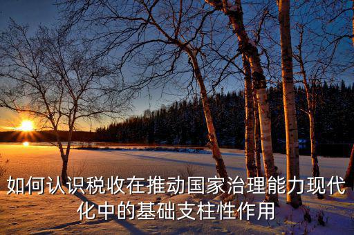 如何認識稅收在推動國家治理能力現(xiàn)代化中的基礎(chǔ)支柱性作用