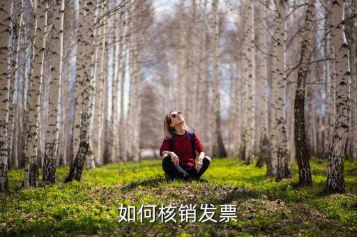 如何網(wǎng)上核銷發(fā)票，怎樣開普通發(fā)票網(wǎng)上核銷