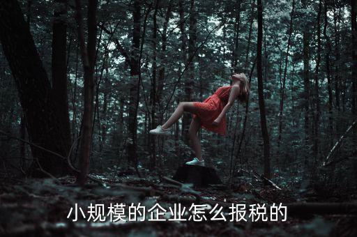 小規(guī)模納稅人如何申報，小規(guī)模增值稅申報流程