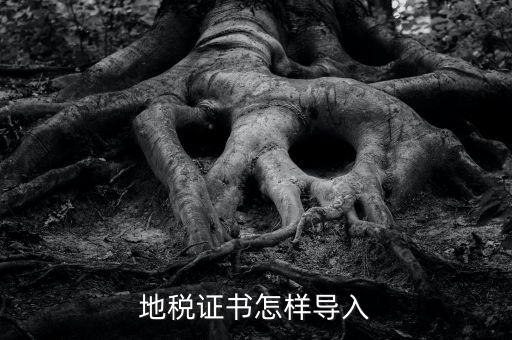 如何導(dǎo)入地稅證書，地稅證書怎樣導(dǎo)入