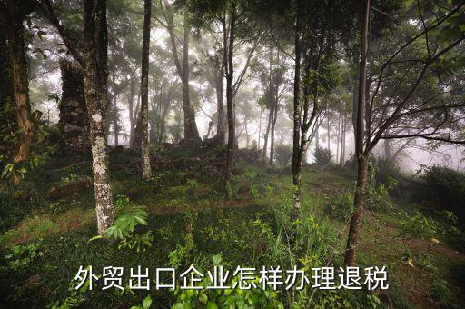 外貿(mào)公司如何退稅，外貿(mào)公司出口產(chǎn)品時(shí)怎么操作才可以退稅