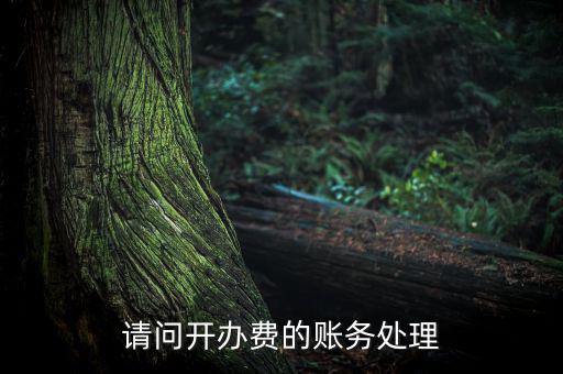 開辦費如何處理，請問開辦費的賬務處理