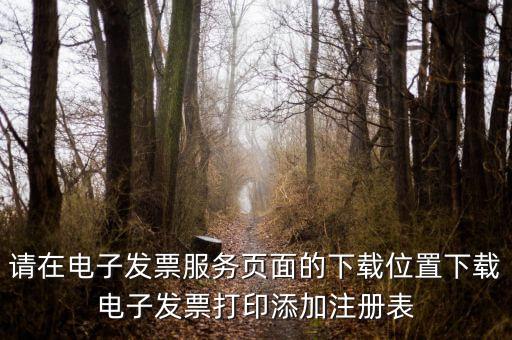 請(qǐng)?jiān)陔娮影l(fā)票服務(wù)頁面的下載位置下載電子發(fā)票打印添加注冊(cè)表