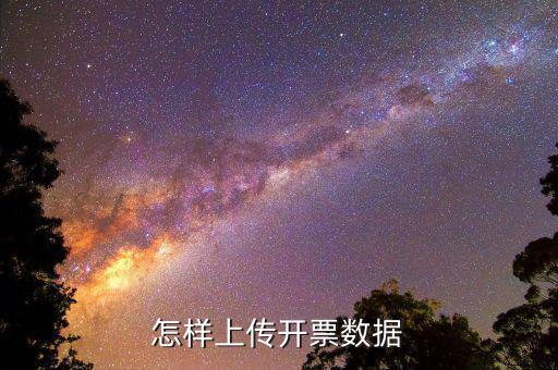 如何上傳進項發(fā)票明細，怎樣上傳開票數(shù)據(jù)
