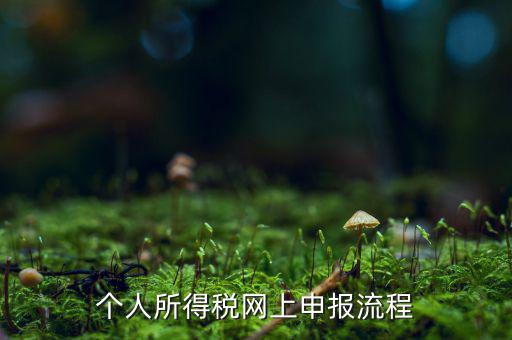 如何網(wǎng)上申請個稅，個人所得稅網(wǎng)上申報流程