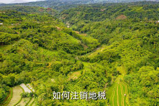 如何注銷地稅，如何注銷地稅