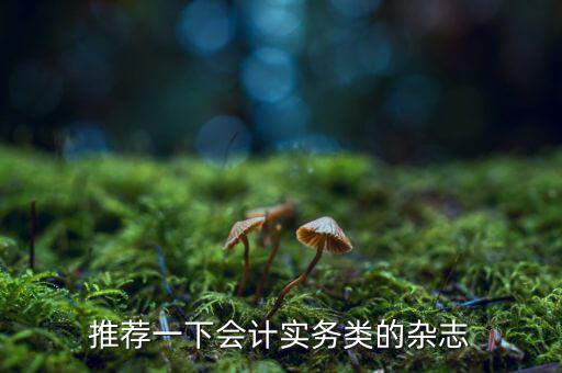 納稅這個期刊如何，推薦一下會計實務(wù)類的雜志