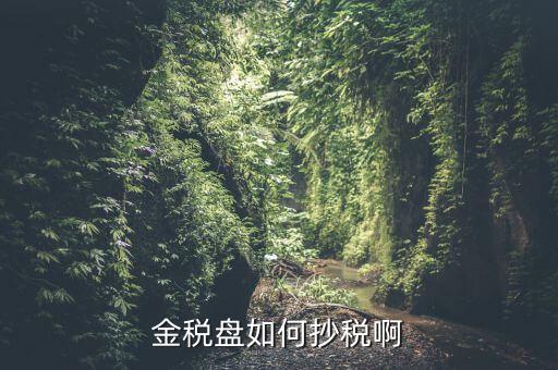 金稅盤如何抄報(bào)稅，金稅盤如何抄稅啊