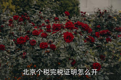 北京如何打印個人所得稅完稅證明，北京個稅完稅證明怎么開