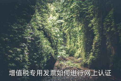 增值稅專用發(fā)票如何進行網(wǎng)上認證