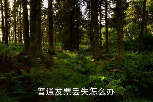 普票發(fā)票聯(lián)丟失如何入賬，企業(yè)開具的增值稅普通發(fā)票記賬聯(lián)丟失怎么處理