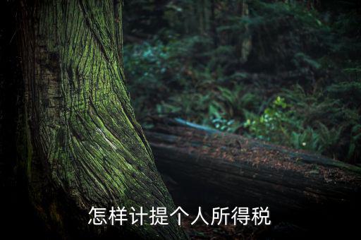 個人所得稅如何計提，如何計提個人所得稅