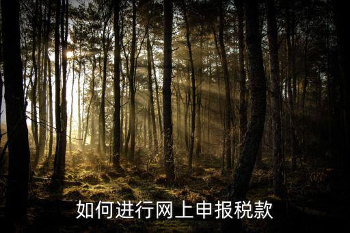 網(wǎng)上申報系統(tǒng)如何報稅，如何進行網(wǎng)上申報稅款