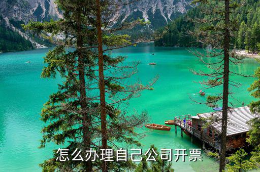 如何申請開票系統(tǒng)嗎，怎么辦理自己公司開票