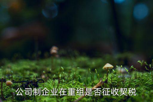 企業(yè)改制契稅減免如何辦理，公司制企業(yè)在重組是否征收契稅