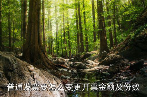 如何申請(qǐng)發(fā)票額度變更，普通發(fā)票要怎么變更開票金額及份數(shù)