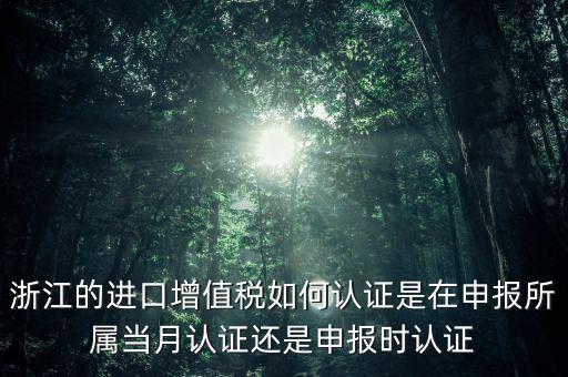 浙江國(guó)稅進(jìn)口發(fā)票如何認(rèn)證，浙江的進(jìn)口增值稅如何認(rèn)證是在申報(bào)所屬當(dāng)月認(rèn)證還是申報(bào)時(shí)認(rèn)證