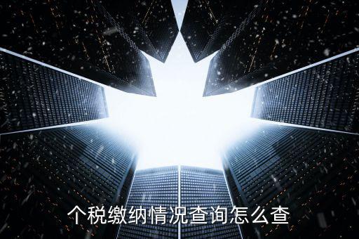 如何查詢個稅申報情況，個稅繳納情況查詢怎么查