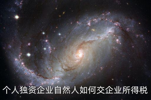 自然人獨(dú)資如何交稅，個人獨(dú)資企業(yè)自然人如何交企業(yè)所得稅