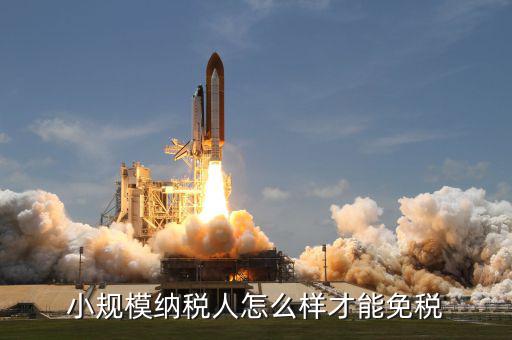 小規(guī)模納稅人如何避免增值稅，小規(guī)模怎么避增值稅呢