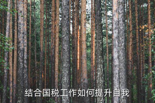 國稅工作總結(jié)如何出彩，2015年國稅貨勞科工作總結(jié)
