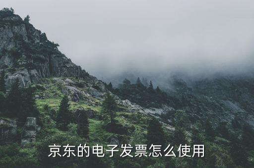 電子發(fā)票如何用，電子客票如何用