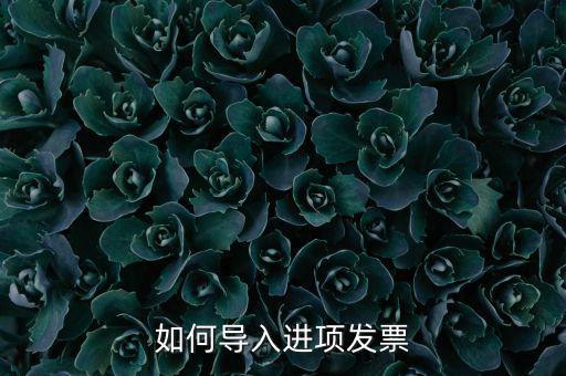 如何導入發(fā)票，如何導入進項發(fā)票