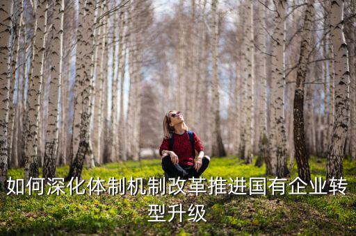 如何深化體制機制改革推進國有企業(yè)轉型升級