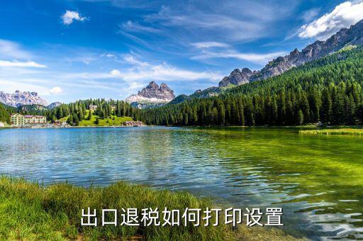 如何打印出口退稅備案表，出口退稅系統(tǒng)內的增值稅申報表如何打印