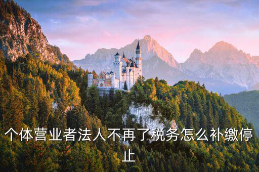 個(gè)體戶如何補(bǔ)交固定稅，個(gè)體戶地稅怎么補(bǔ)交未進(jìn)行地稅申報(bào)現(xiàn)補(bǔ)交稅款還要被罰款三倍嗎