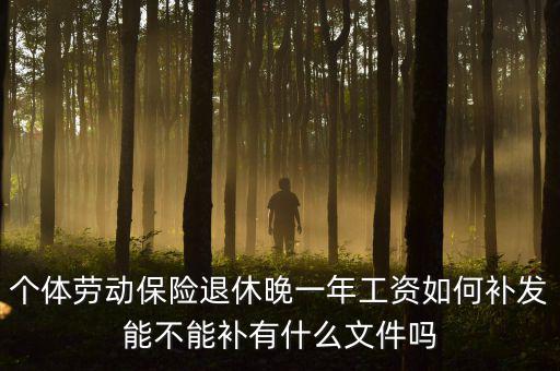 如何補(bǔ)發(fā)工資，個(gè)體勞動(dòng)保險(xiǎn)退休晚一年工資如何補(bǔ)發(fā)能不能補(bǔ)有什么文件嗎