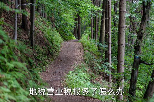 營(yíng)業(yè)稅多交了如何處理，營(yíng)業(yè)稅改征增值稅后多交的營(yíng)業(yè)稅怎么辦交增值稅了不繳納營(yíng)業(yè)