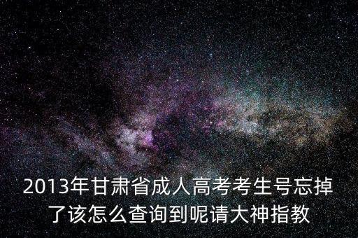 甘肅省如何查號(hào)，2013年甘肅省成人高考考生號(hào)忘掉了該怎么查詢到呢請(qǐng)大神指教