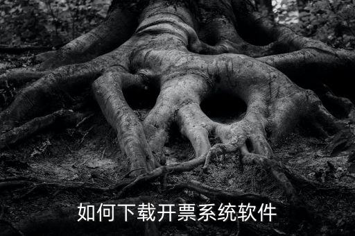 發(fā)票軟件如何下載軟件，怎么安裝稅控發(fā)票開票軟件v20