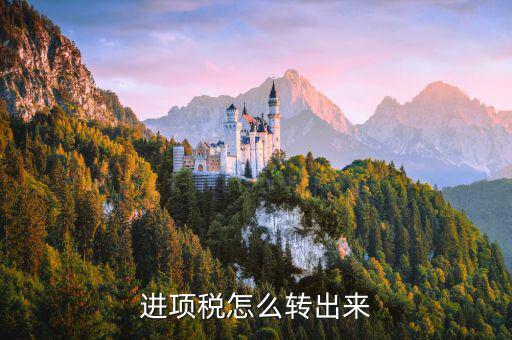 進項稅怎么轉出來