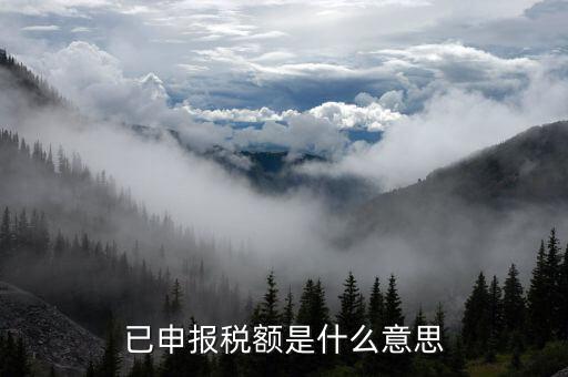 武漢稅務(wù)年報(bào)是什么意思，報(bào)告年度所得稅什么意思