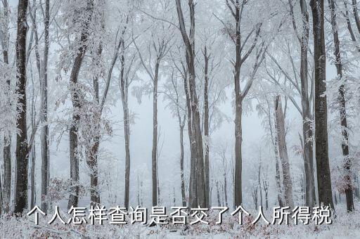 如何查詢個人完稅，在哪里能查到自己的個人所得稅