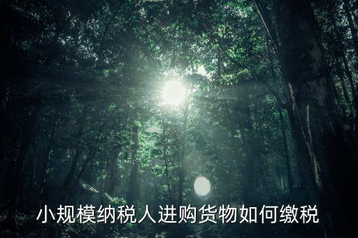 小規(guī)模納稅人如何交稅，小規(guī)模納稅人進(jìn)購(gòu)貨物如何繳稅