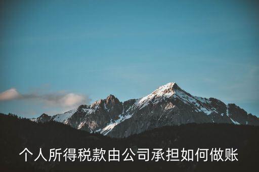個(gè)稅公司承擔(dān) 如何報(bào)銷，個(gè)人所得稅款由公司承擔(dān)如何做賬