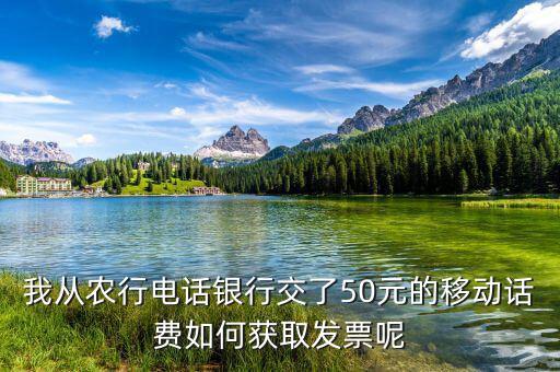 湖北移動電子發(fā)票如何獲取，中國移動手機(jī)帳單電子發(fā)票怎么樣下載