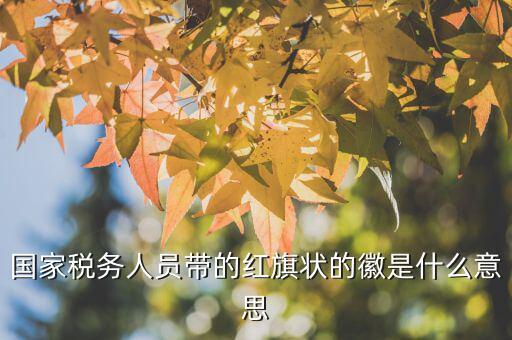 如何佩戴稅務(wù)肩章，地稅局人員的肩章