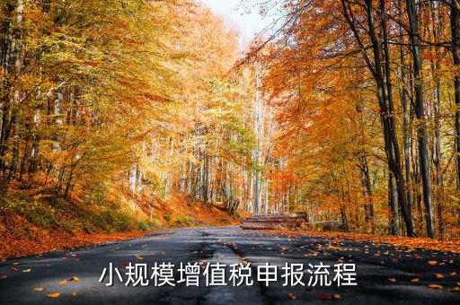 小規(guī)模納稅人 如何申報(bào)，小規(guī)模增值稅申報(bào)流程