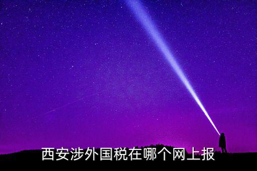 西安涉外國稅在哪個網上報