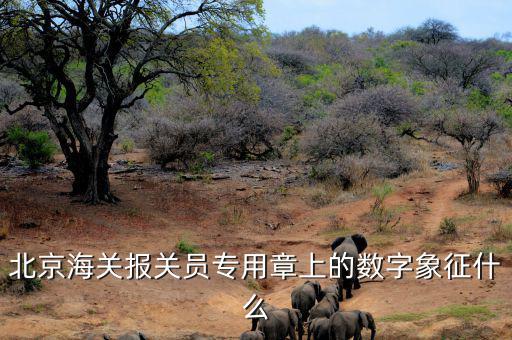 報關(guān)專用章數(shù)字是什么意思，報關(guān)專用章上面有一串?dāng)?shù)字是什么意思