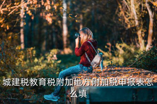新城建稅附加表如何填，網(wǎng)上申報城建稅教育附加稅怎么填