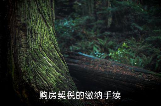 如何繳納契稅，購房契稅的繳納手續(xù)