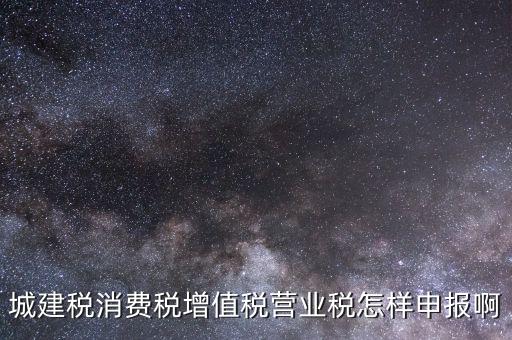 消費(fèi)稅如何納稅申報(bào)，小汽車消費(fèi)稅納稅如何申報(bào)